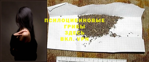 меф Белокуриха