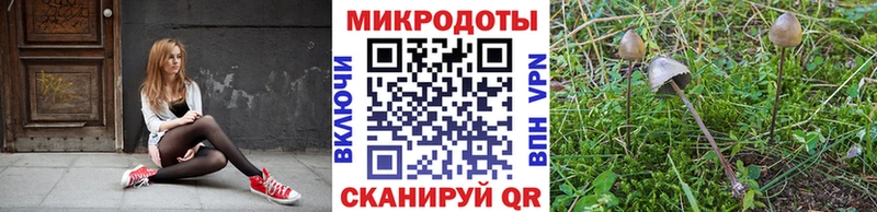 Купить  Сысерть  Галлюциногенные грибы мухоморы 