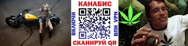 Бошки Шишки THC 21%  Купить где  Сысерть 